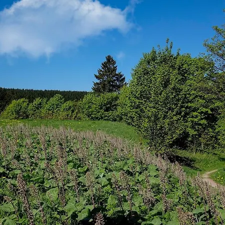 Schlossberghotel Oberhof ホテル オーバーホーフ