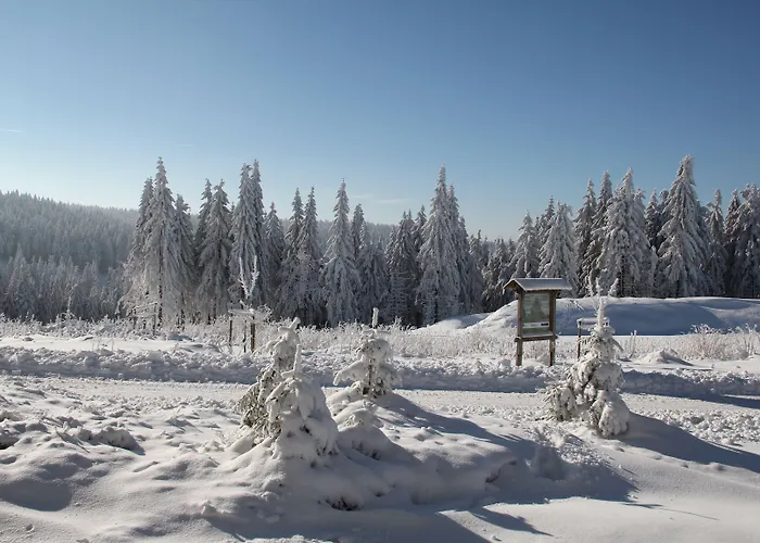 Schlossberghotel 4* Oberhof (Thuringia)