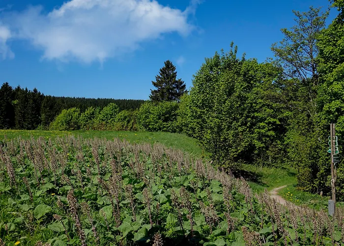 Schlossberghotel 4* Oberhof (Thuringia)